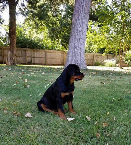 Enjoying some yard time