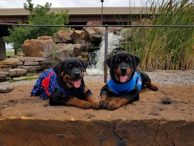 Visit to Bass Pro