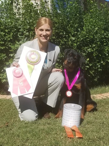 First AKC Show