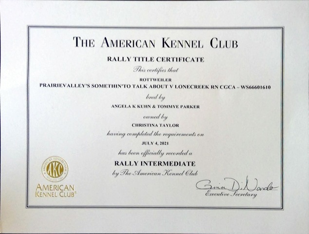 Rally Intermediate