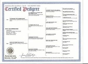 Pedigree
