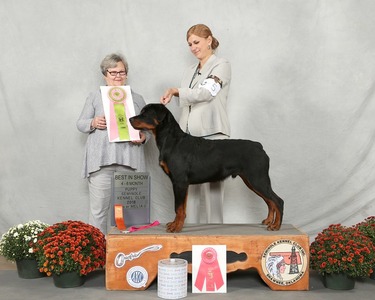 AKC Win Photo