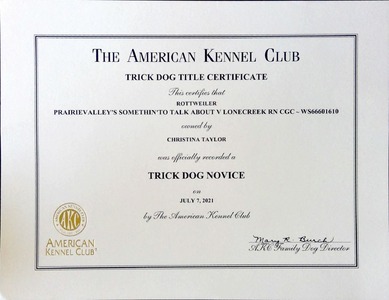 Trick Dog Novice
